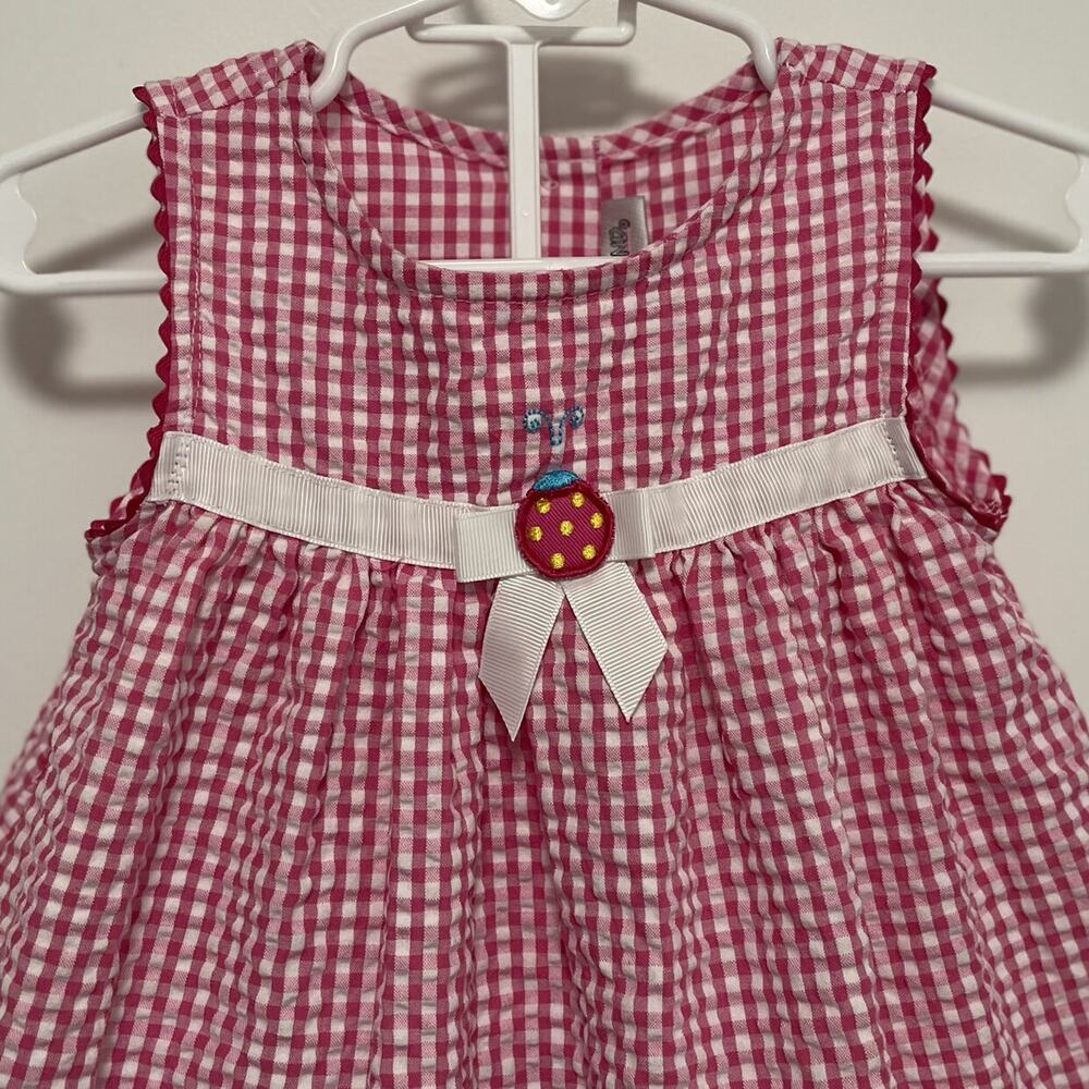 Youngland Seersucker Gingham Ladybug dress and bubble bottoms Size 12M - Picture 2 of 10
